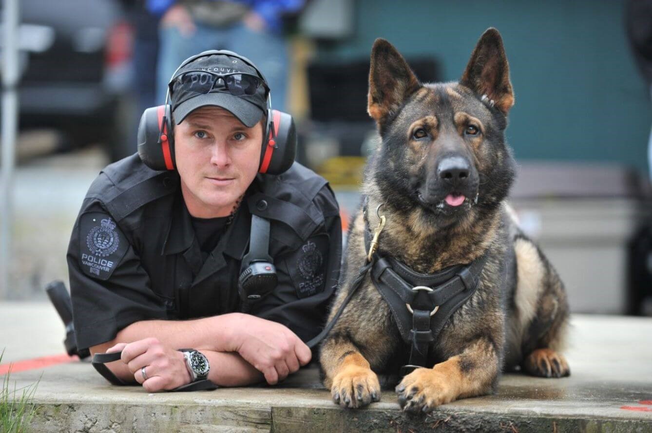 Ein Polizeihund geht in Ruhestand - Hund und Partner