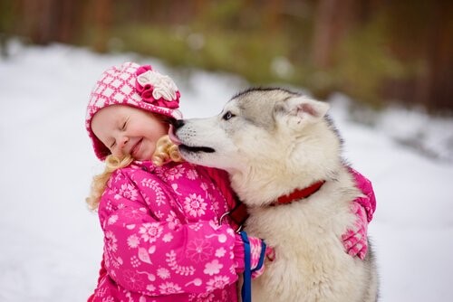 Können wir zulassen, dass unser Hund unser Gesicht ableckt - Hund mit mädchen
