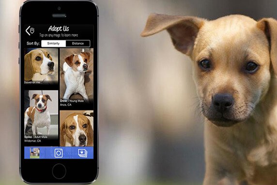 Apps für die Hundeadoption
