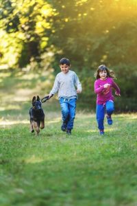 Besitzer eines Deutschen Schäferhundes