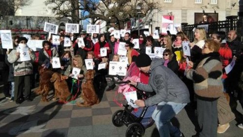 Große Demos für bessere Tierschutzgesetze Große Demos für bessere Tierschutzgesetze