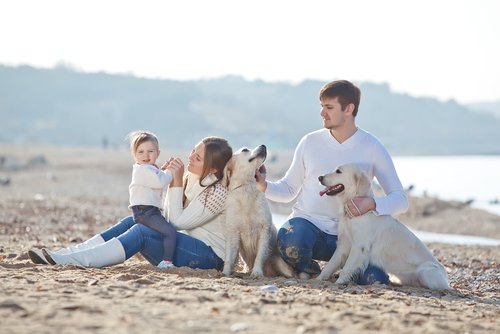 Familie mit Hunden, die freundlicher werden müssen