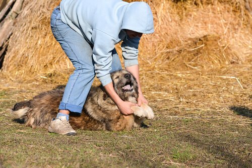 Fot ovn Frau mit Hund im Internet