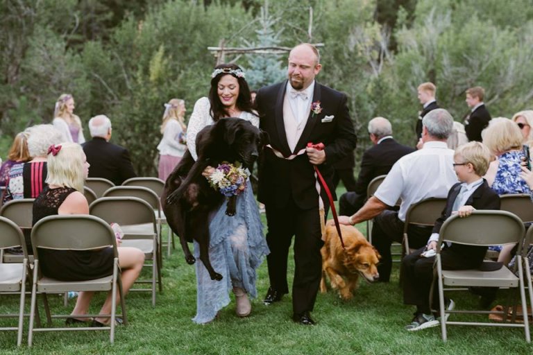 Hund mit Hirntumor auf der Hochzeit