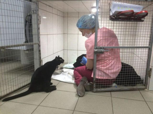 Luzifer mit einem Patienten