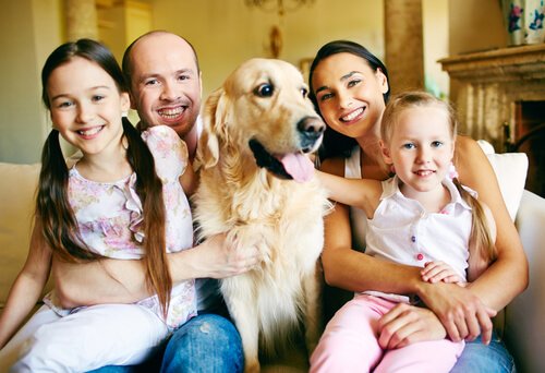 Zusammenleben mit Familie und Hund