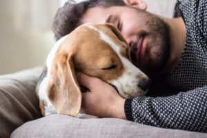 Der Hund ist der beste Freund des Menschen