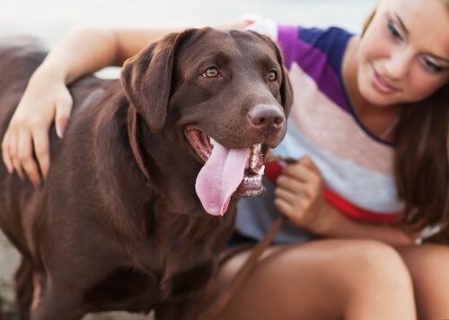 Der beste Freund des Menschen - Hund und Besitzerin