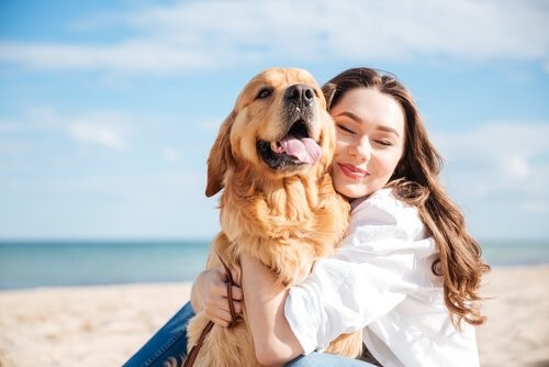 Die Bindung zwischen Hund und Mensch
