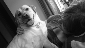 Hund rettet seine Besitzerin aus Liebe