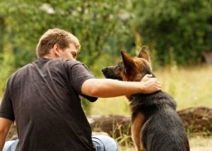 Die besten Geschenke für Hundeliebhaber