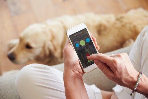 Die besten Geschenke für Hundeliebhaber - Hund und Smartphone