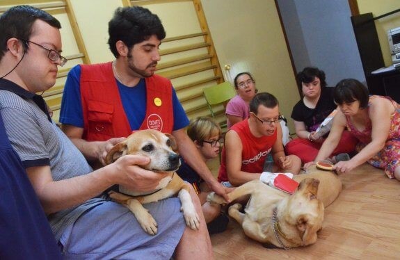 Ein Hund rettet ein Kind mit Down-Syndrom - Hundetherapie