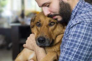 Kann man gegen Krebs bei Hunden vorsorgen?