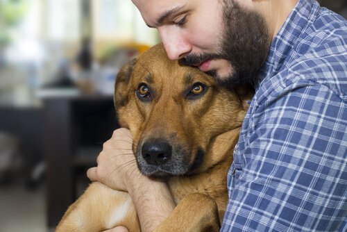 Kann man gegen Krebs bei Hunden vorsorgen?