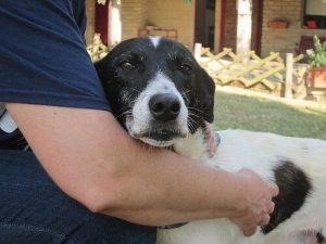 Ich gehe mit dir bis ans Ende der Welt