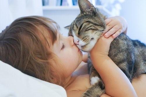 Wie Katzen unser Leben verändern - Kleines Mädchen mit Katze
