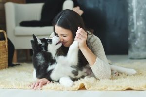 Hunde verstehen deine Gefühle ganz genau