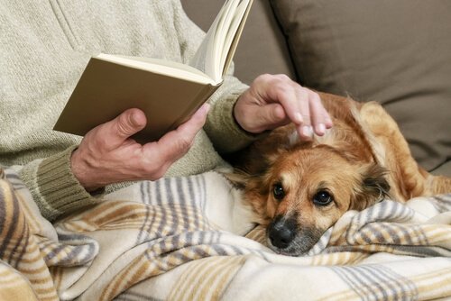 Großvater liest auch mal dem Hund eine Geschichte vor