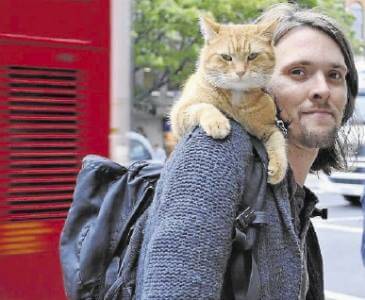 James und Bob, der Straßenkater