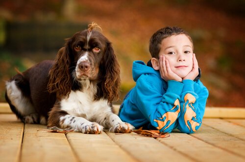 Auch für die körperliche und seelische Gesundheit von Kindern sind Hunde ideal.