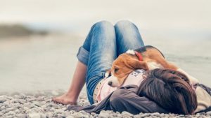Stress vermeiden um gegen Krebs bei Hunden vorzubeugen - Frau mit Hund am Strand
