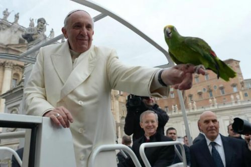 Papst Franziskus und seine Beziehung zu Tieren