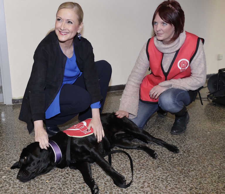 Hundetherapie unterstützt viele Menschen