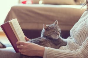 10 Vorteile, eine Katze zu Hause zu haben