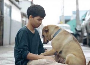 Ein Junge gibt Straßenhunden die erste Umarmung