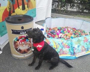 Recycling für die Tierhilfe!