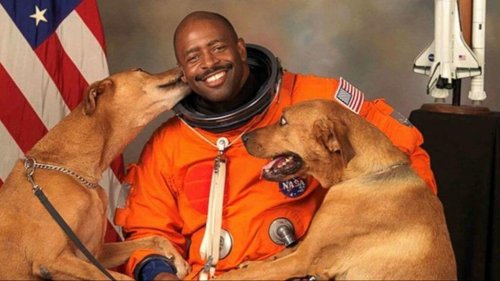 Der Astronaut, der seine Hunde ins Foto holte