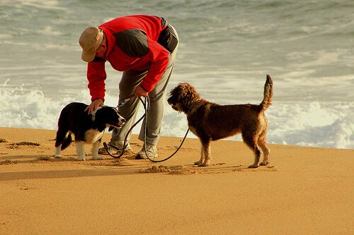Joggen mit dem Hund - 10 Tipps