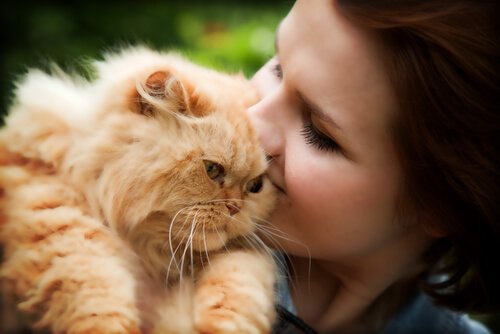 Katze und Frauchen lieben sich