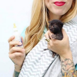 Kitten Lady: Die Frau, die Hunderte von Kätzchen rettet