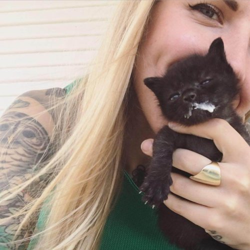 Kitten Lady und ein Kätzchen.