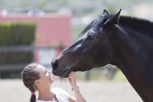 Wie gehe ich es an, wenn ich reiten lernen will?