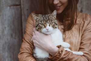 Was ist eigentlich die Toxoplasmose bei Katzen?