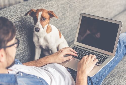 Aufgaben für Hunde - Hund mit Herrchen