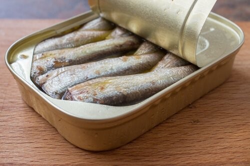 Die BARF Diät - Fisch