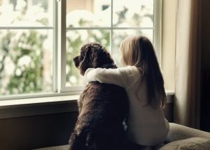 Die tiergestützte Therapie funktioniert