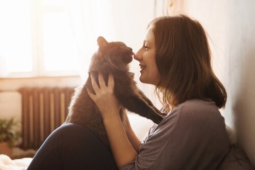 Wie gewinnt man das Vertrauen einer Katze - Katze leckt Gesicht