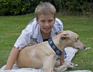 Kind hat Hund zu Weihnachten bekommen.