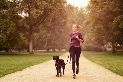 längere Lebenserwartung mit Hund