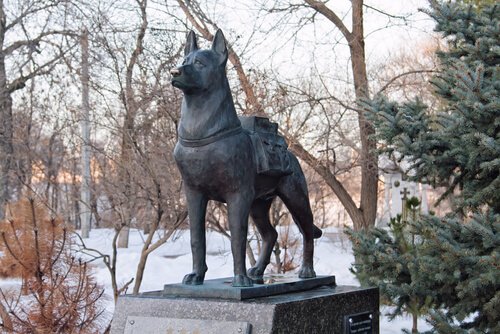 Denkmal für Such- und Spürhunde