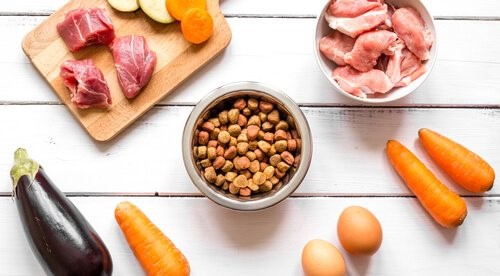 Hausgemachte Diät für Hunde Deine Tiere