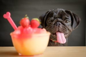 4 Smoothies für Hunde