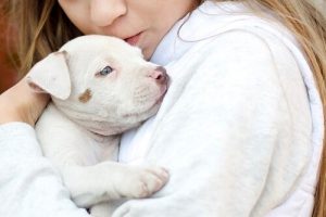 Wer ist Temple Grandin?