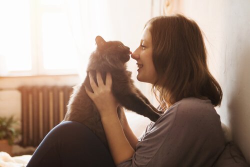 Adoption eines Kätzchens: Was brauchst du?