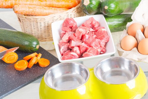 Alternative Ernährung zum Hundefutter: BARF